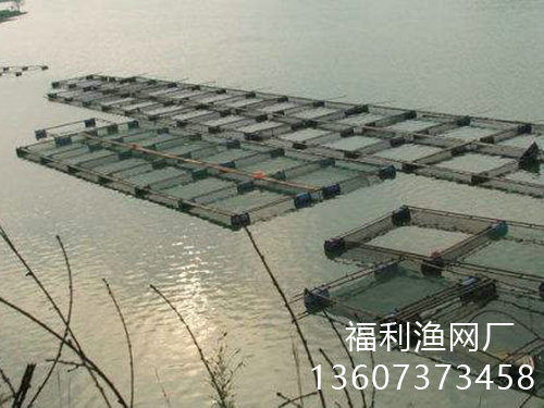 客戶案例