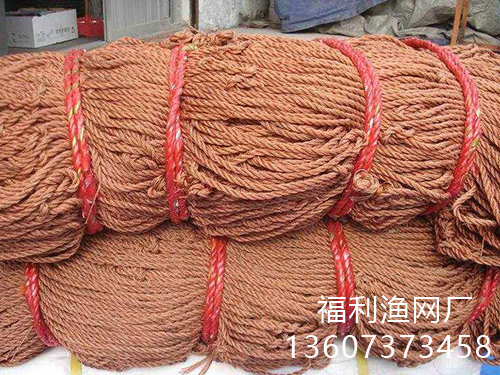 客戶案例